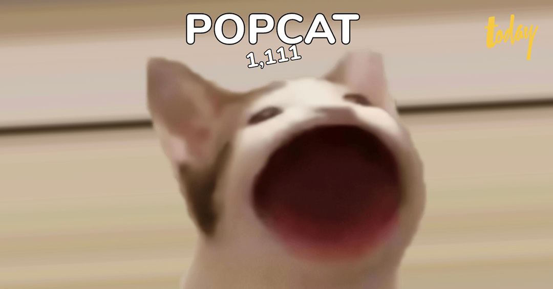 POPCAT คืออะไร